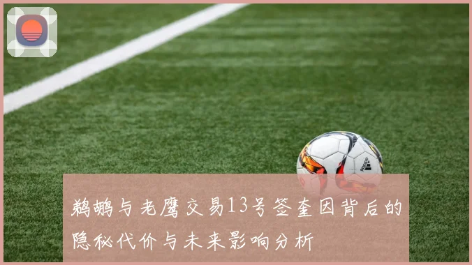鹈鹕与老鹰交易13号签奎因背后的隐秘代价与未来影响分析