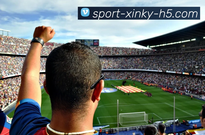 App Interface Preview