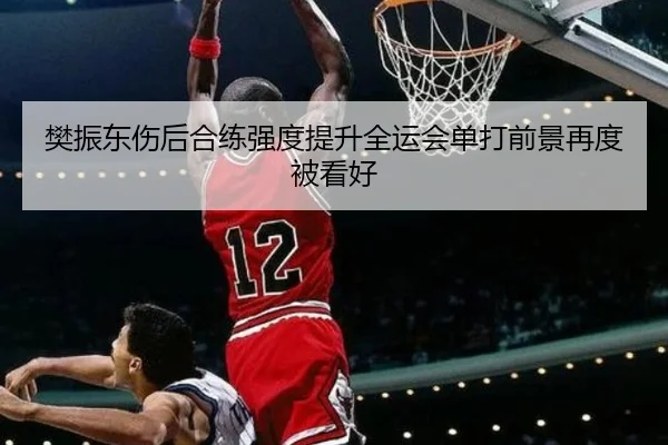 樊振东伤后合练强度提升全运会单打前景再度被看好 - KYgaming